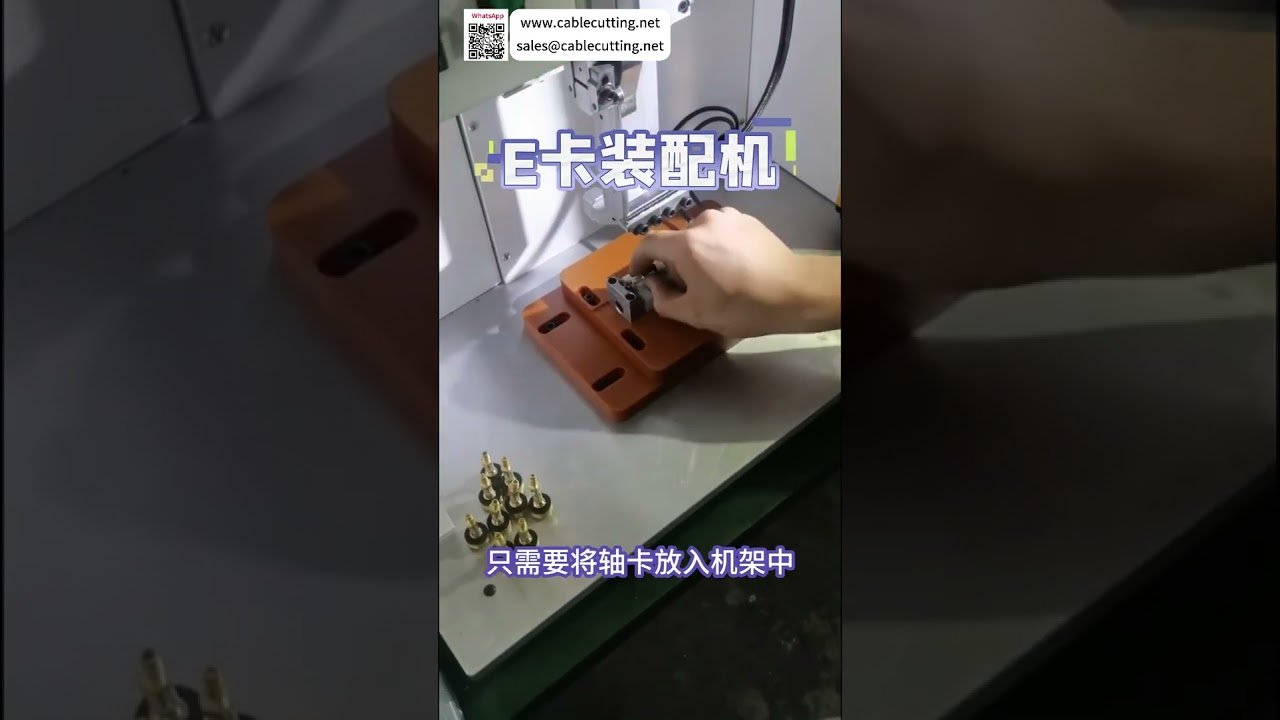 Machine d'assemblage de circlips de haute qualité : équipement de fabrication automatique personnalisé et fiable, directement issu de notre usine.