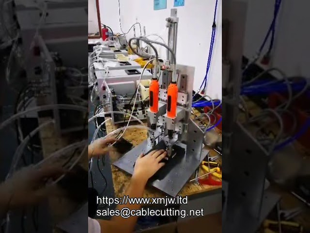 Visseuse automatique à axe Z avec alimentation automatique | Machine de vissage précise