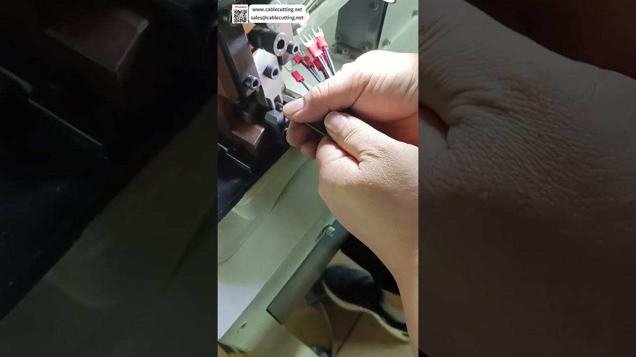 Machine de sertissage automatique à bol vibrant – Efficacité et qualité d'élite