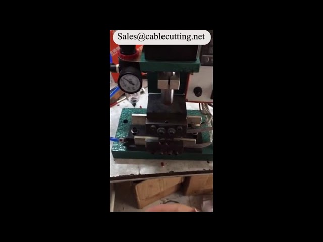 Machine à dénuder thermique électrique WPM-2015 : précision et automatisation