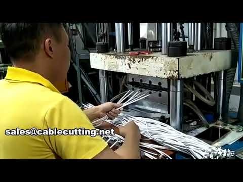 Machine de moulage par injection verticale WPM-701-2T - Haute précision pour production automatisée