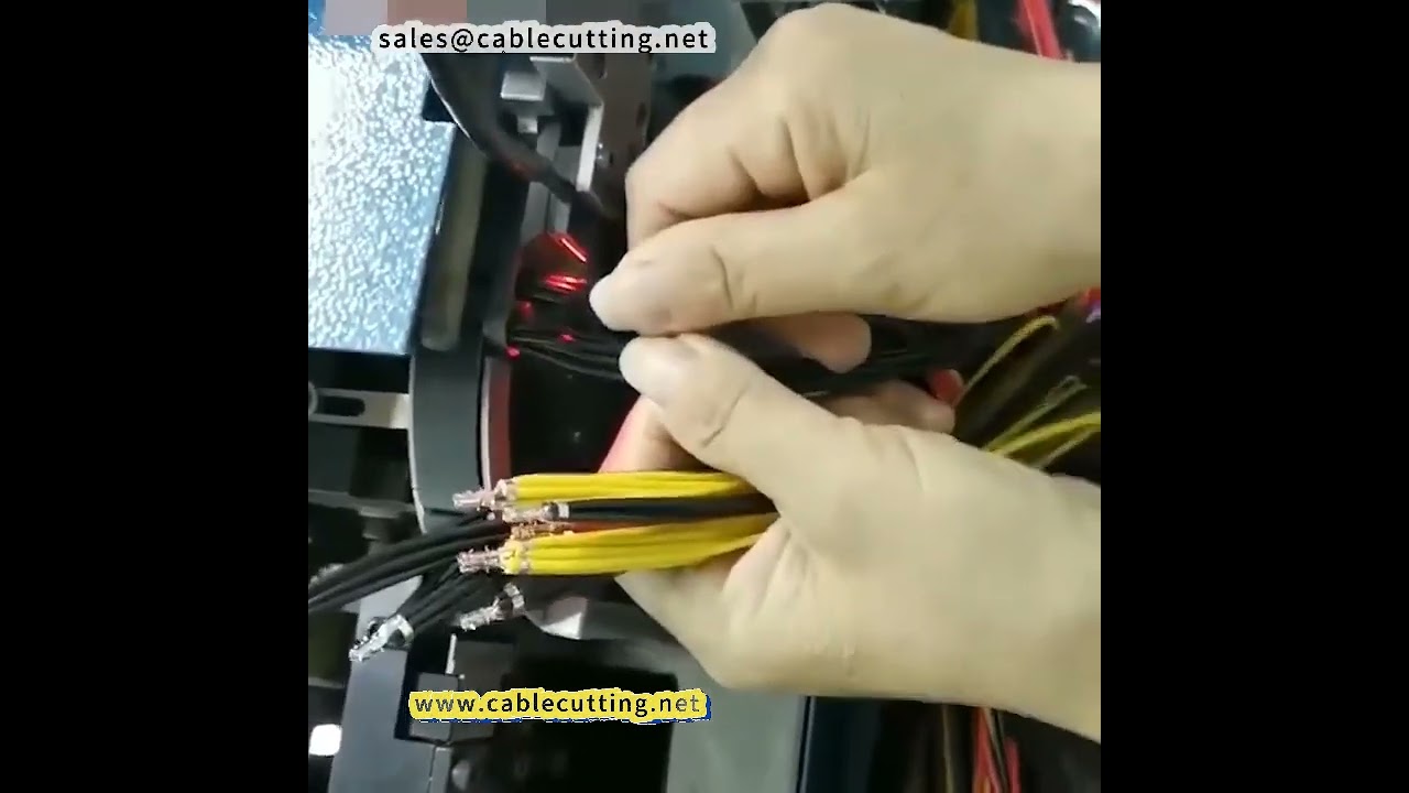 Machine automatique de gaine thermorétractable avec alimentation et coupe intégrées