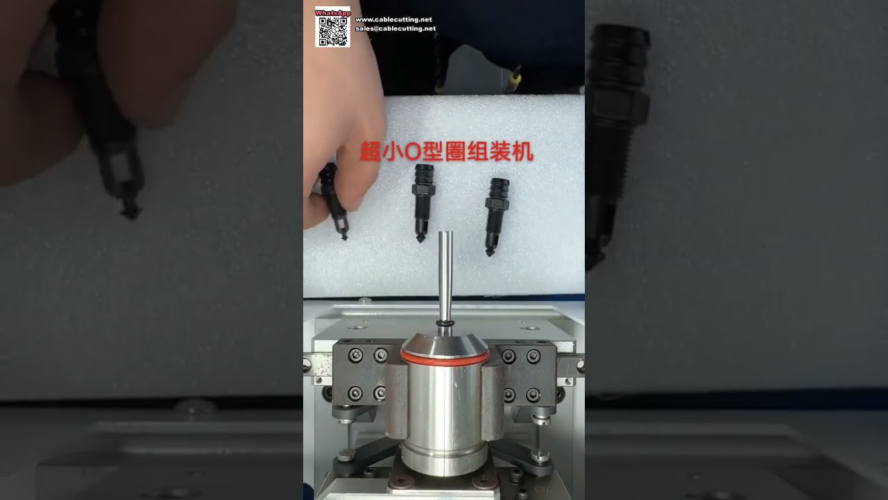 Machine automatique d'assemblage de joints toriques à haut volume pour la production de composants d'étanchéité pétrolière