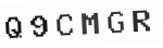 Verification Code Image